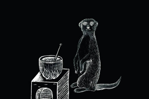 Das Herdmännchen | 2017