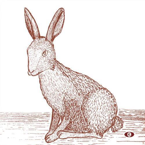 Der Hase | 2018