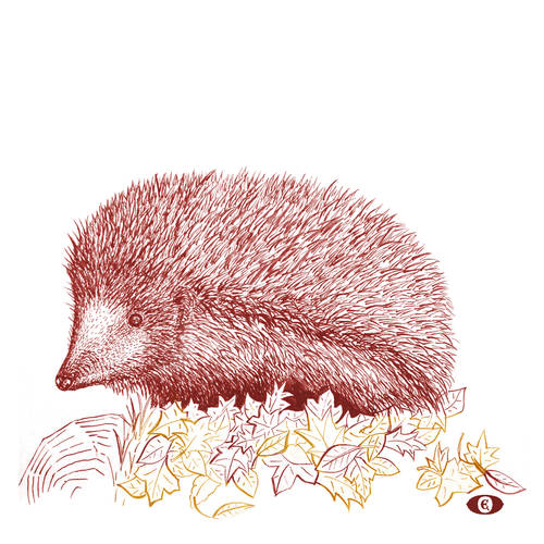 Der Igel | 2018