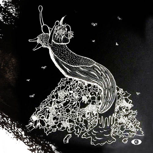 Die Kolonialschnecke | 2018